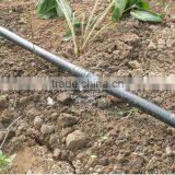 High Quality Price 16mm Drip Irrigation Pipe Coil For Farm Irrigation thumbnail-5