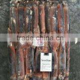 FROZEN ILLEX SQUID thumbnail-2