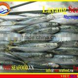 FROZEN LAYANG SCAD (MUROAJI) WHOLE ROUND thumbnail-6