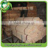 Eucalypts Wooden Broom Mop Handle thumbnail-4