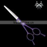 Various Colors and Handle Paint Scissors for Hairdressing Hair Scissors thumbnail-3