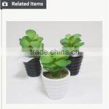 Cheap Artificial Bonsai Plants Fake Mini Bonsai Wholesale High Quality Artificial Bonsai thumbnail-5