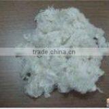 1.2D*38MM 100% PEARL STAPLE FIBER