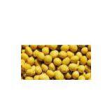 Supplying Soybean Extract Isoflavones thumbnail-1