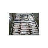 Pacific Mackerel HGT thumbnail-2