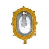 Explosion-proof Floodlight BFC 8120 Eight Thousand Seven Hundred and Twenty Platform Lighting Fixtures thumbnail-3