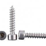 Allen cap hex head metal self tapping screw