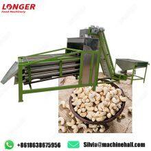 High Quality Cashew Nut Size Sorting Machine in India