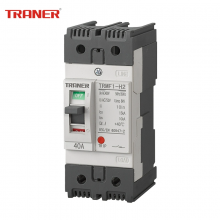 TRMF1-63 Thermal Magnetic Circuit Breaker 2P 10A 20A 30A 40A 50A 63A Main Switch