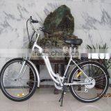 Electric Bike TDF05Z-2