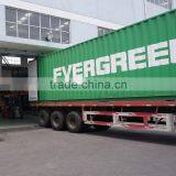 Professional 20mm Artificial Grass Turf thumbnail-4