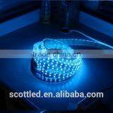 120leds/m 5050 SMD Single Color LED Flexible Strip, DC12V/24V Input, 5m/roll, Waterproof IP20/IP65/IP67