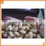 Hot Selling High Quality Roasted Peanut Red Skin Peeling Machine thumbnail-6