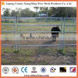 Australia Market Cow Panels