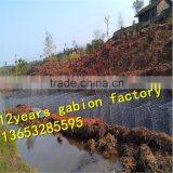 PVC Terra Mesh/river Protection thumbnail-6