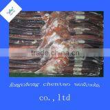Wholesale Argentina Squid Fresh Squid Whole Squid