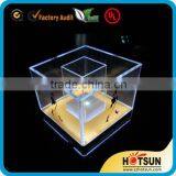 Bespoked LED Light Acrylic Chilly Bin