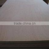 High Quality Dubai Market Commercial Plywood at Wholesale Price thumbnail-6