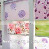 Blinds & Shutters thumbnail-2