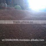 NEW CROP VIETNAM PEANUT / Vilaconic.export15@gmail.com thumbnail-3
