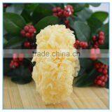 Chinese White Jelly Fungus thumbnail-2