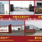 Common Type of Watermelon Seeds thumbnail-3