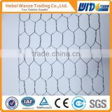 high quality chicken mesh for sale (Anping supplier)