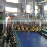 Automatic Palleting Machine for Fruit Cans and Bottles thumbnail-5