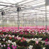 Polycarbonate Sheet Greenhouse-2 thumbnail-5