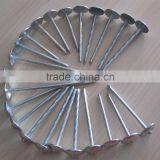 Galvanized Twisted Shank Roofing Nails thumbnail-4