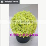 Varied Artificial Succulents Wholesale Artificial Mini Succulents Potted thumbnail-4