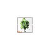 Factory Hot Sale Green Artificial Money Tree Make Cheap Outdoor Large Money Tree thumbnail-2