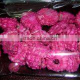 Corn Cob thumbnail-1