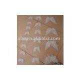 Angel Wing thumbnail-1