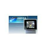 LED Flood Light