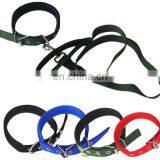Dog Collar Leash Nylon Webbing Dog Car Safety Seat Belt and Pet Leashes thumbnail-6