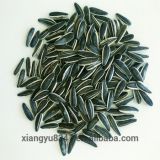 China Sunflower Seeds