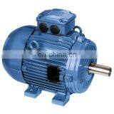 WEG W21 Series IE3 High Efficiency 0.75kW 3 Phase ac Induction Motor thumbnail-2