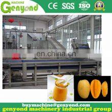 Raw Mango Cutting Machine thumbnail-5