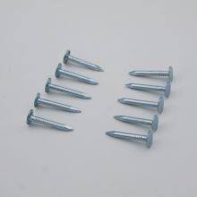 China Factory OEM Flat Head Roofing Nails 25kg Bulk With Mill Test Report thumbnail-1