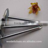 Roofing Nail With Plain Shank