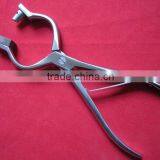 Bull Nose Punch for Cattle Bulls - Stainless Steel/Animal Tools/VETERINARY INSTRUMENTS
