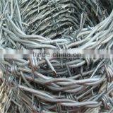 Galvanized Barbed Wire thumbnail-1