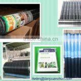 Ground Cover Ground Mulching PP Woven Fabric for Excellent Weed Control thumbnail-1