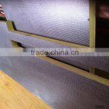 1250*2500*12mm Poplar Core Black Film Faced Plywood thumbnail-2