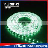 Green 12V/24V 30 LEDs/Meter 5050 SMD Waterproof LED Strip Light