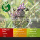 Low Price Ursolic Acid /Ursolic Acid Powder thumbnail-1