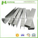 Wholesale Nail Supplies White Staple for Nail Gun