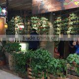 Shop/Home /Office Decor Small Artificial Plant Scindapsus Araceae thumbnail-1