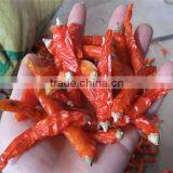 Pepper Stem Tail Cutting Machine/Red chilli stem cutting and removing machine